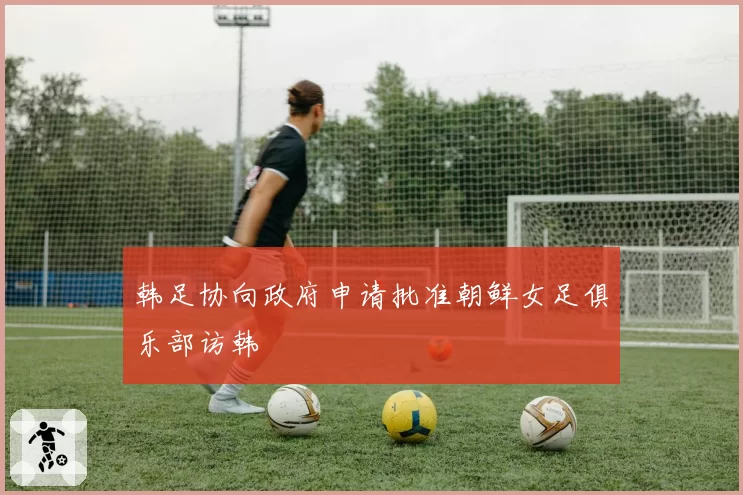 韩足协向政府申请批准朝鲜女足俱乐部访韩